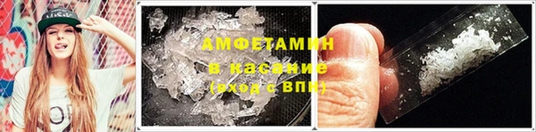 индика Ельня