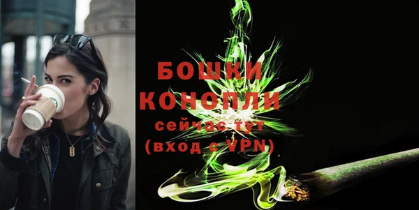 дурь Пересвет