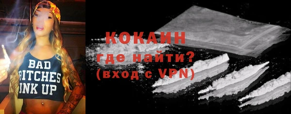 дурь Пересвет