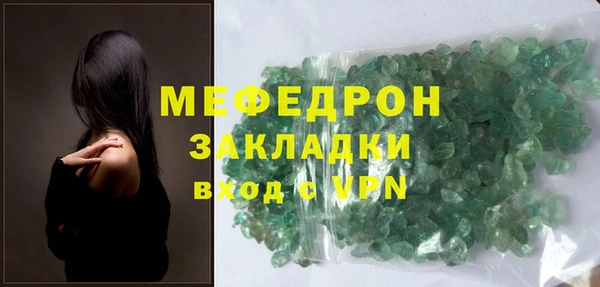 индика Ельня