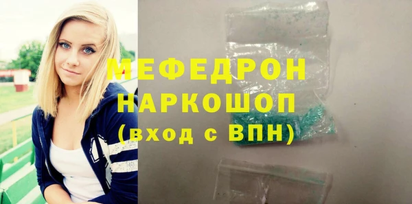 индика Ельня