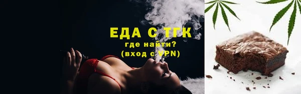 индика Ельня