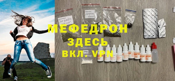 индика Ельня