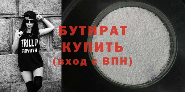 индика Ельня