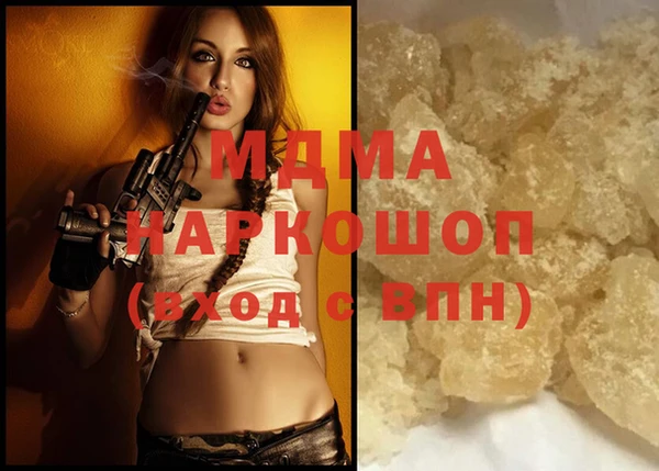 индика Ельня