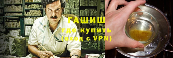 индика Ельня