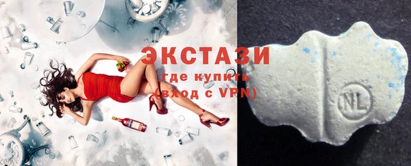 индика Ельня