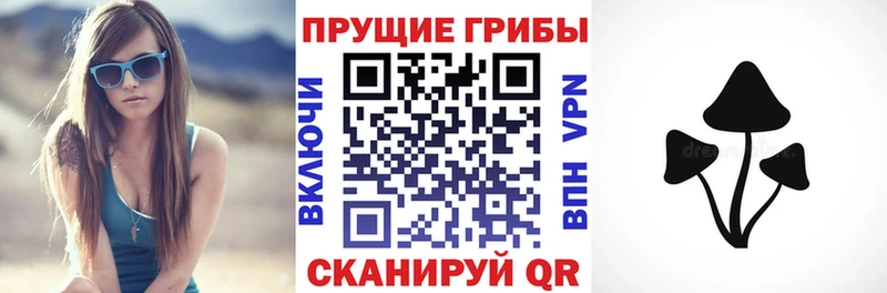 гидра ссылка  Советск  Галлюциногенные грибы прущие грибы  сколько стоит 
