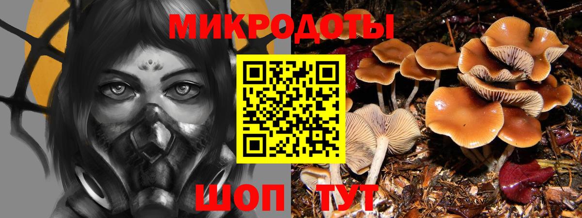 Советск  Псилоцибиновые грибы Cubensis  Вход с VPN 