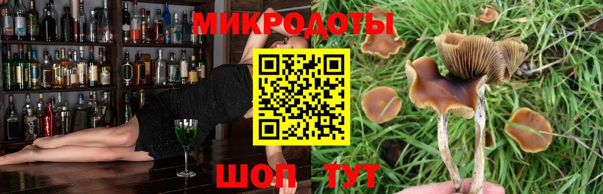 Галлюциногенные грибы мухоморы Советск